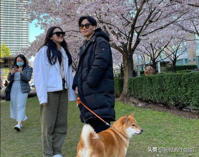 Chen Kun's son is illuminated nearly be full of fashionable feeling, beside cummer is fetching attention, facial features is alike in spirit Zhou Xun