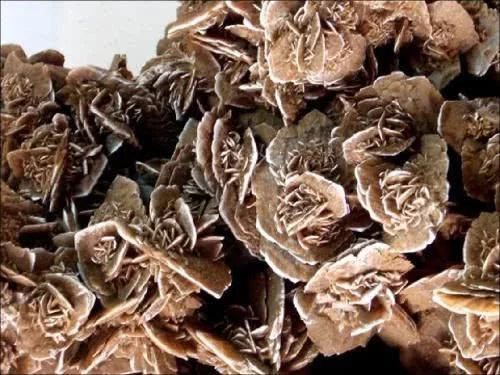 为啥在沙漠中见到“石头”要捡起来？驴友：不