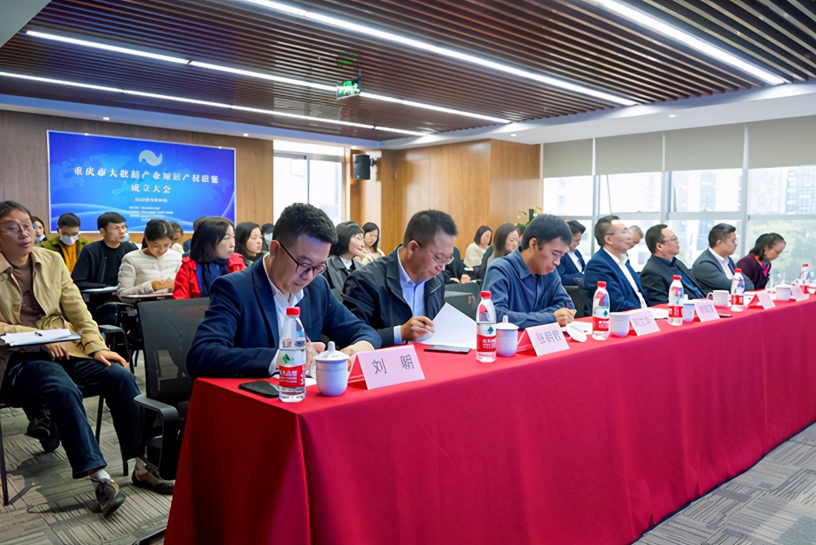 重庆市大数据产业知识产权联盟成立 推动大数据产业高质量发展