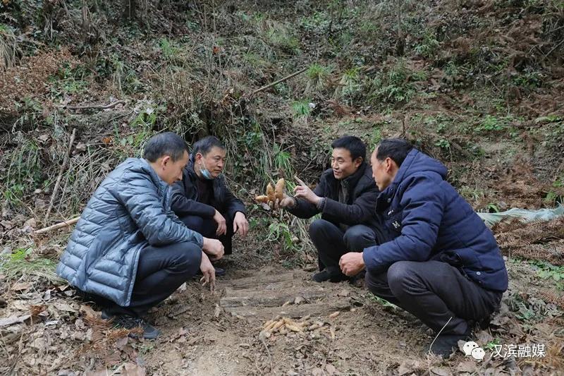 汉滨区大河镇手工挂面：传承非遗手艺，奔向幸福生活