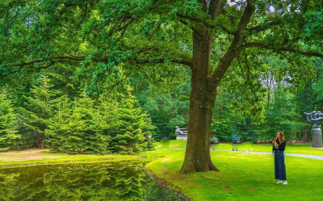 中国城市爱搞绿化带，但为啥欧洲国家就没有？