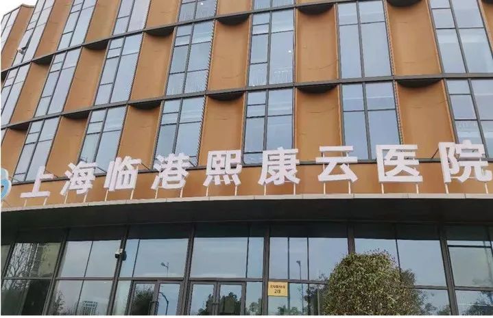 一批教育/医疗/生态/商文体旅项目落地临港
