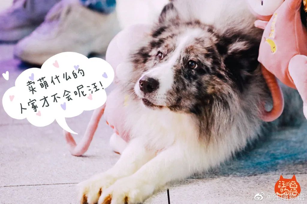生活化的真人秀，如何让年轻人买账？
