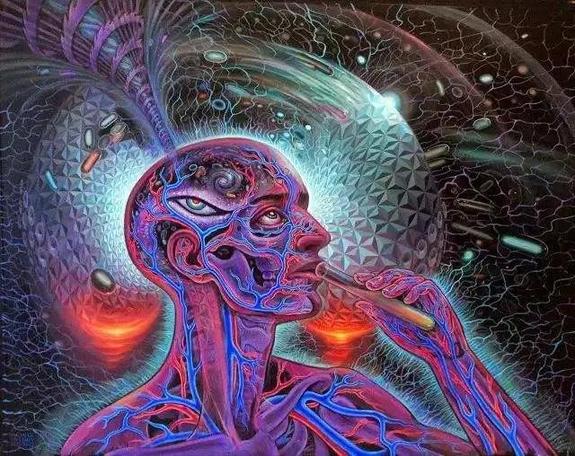 「禁毒」致幻型毒品"死藤水"，一旦吸食性情大变