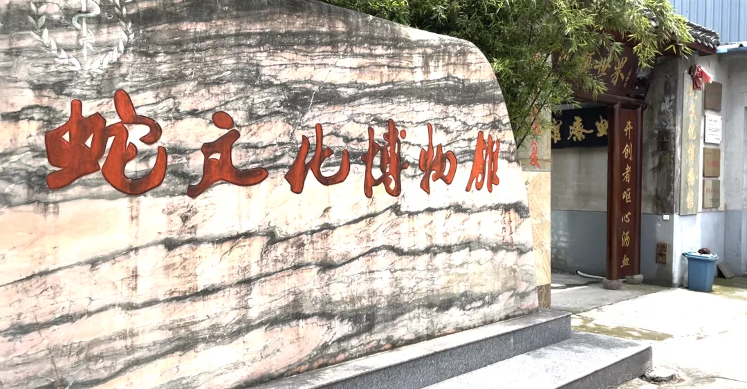 中國第一蛇村：800人養(yǎng)300萬條蛇，每個人都被蛇咬過