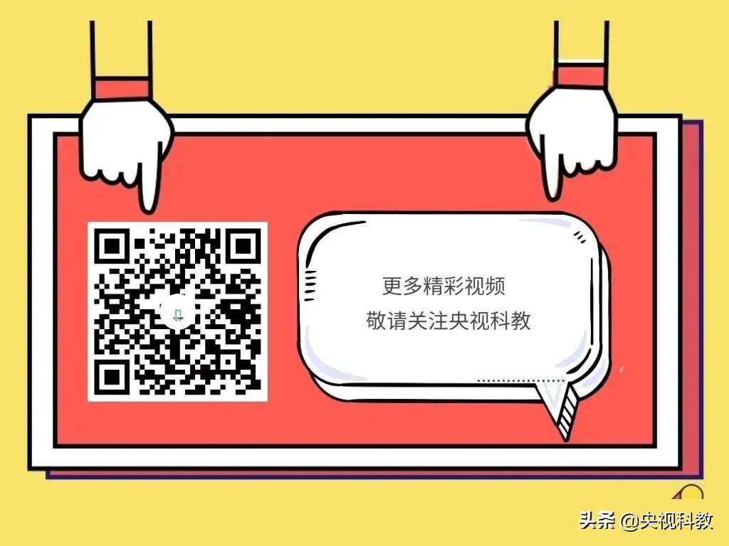 补中益气靠红枣，可做美食可入药！