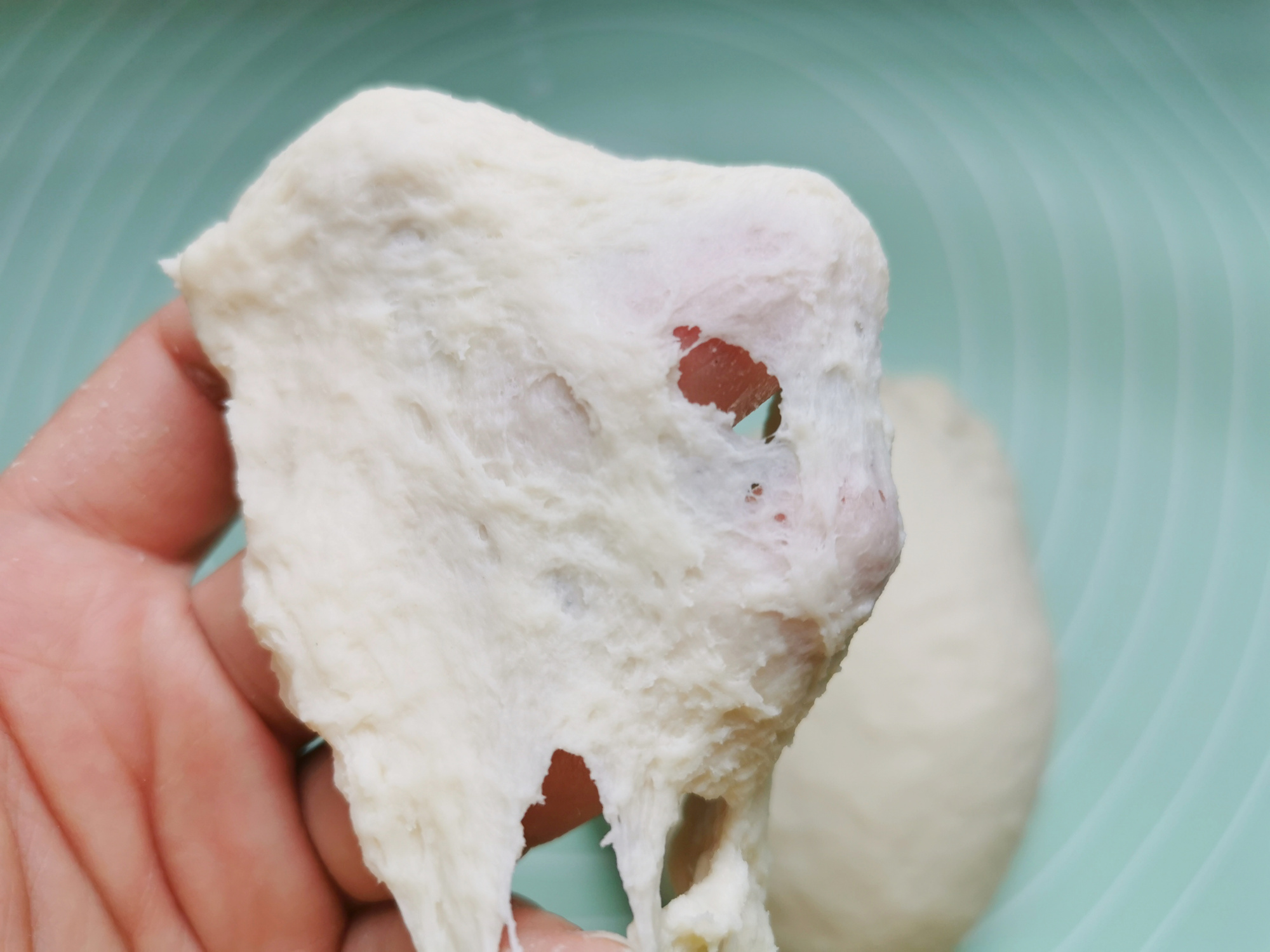 家裡有牛奶的，試試這道牛乳小麵包，做法簡單，一次發酵就能成功