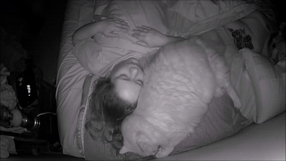 女孩睡著後被貓打了4個小時，但小貓咪可能沒什麽壞心思