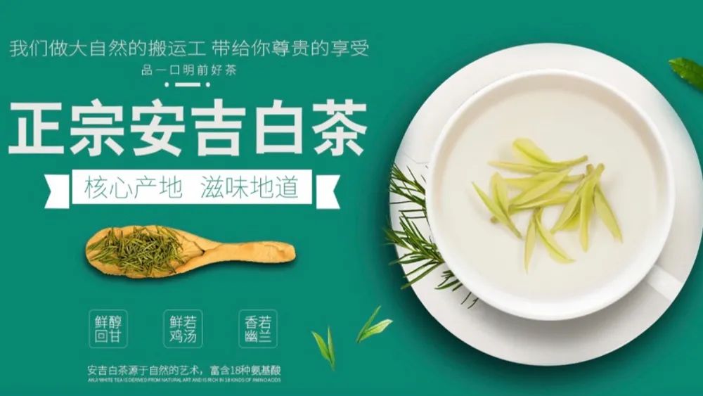 什么茶好买？东家为你揭秘九大核心产区优质春茶