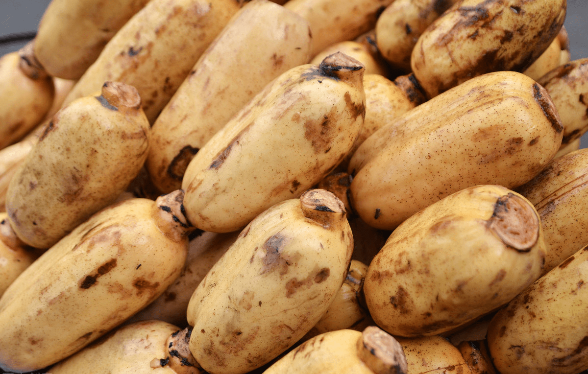 买莲藕时，要分清7孔和9孔！口感差别很大，难怪总做不好吃