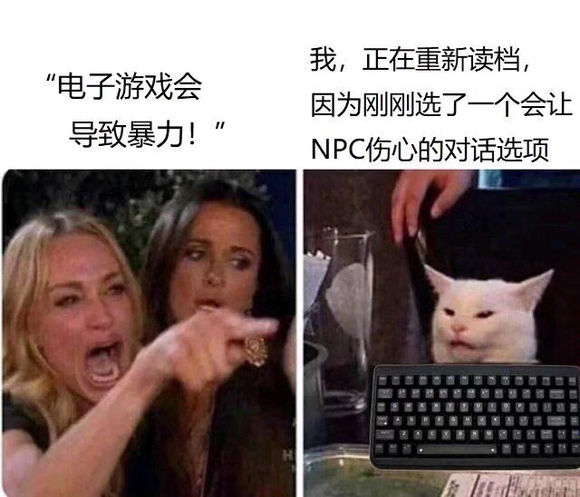 是什么|二女一猫是什么梗 女人指小猫什么意思