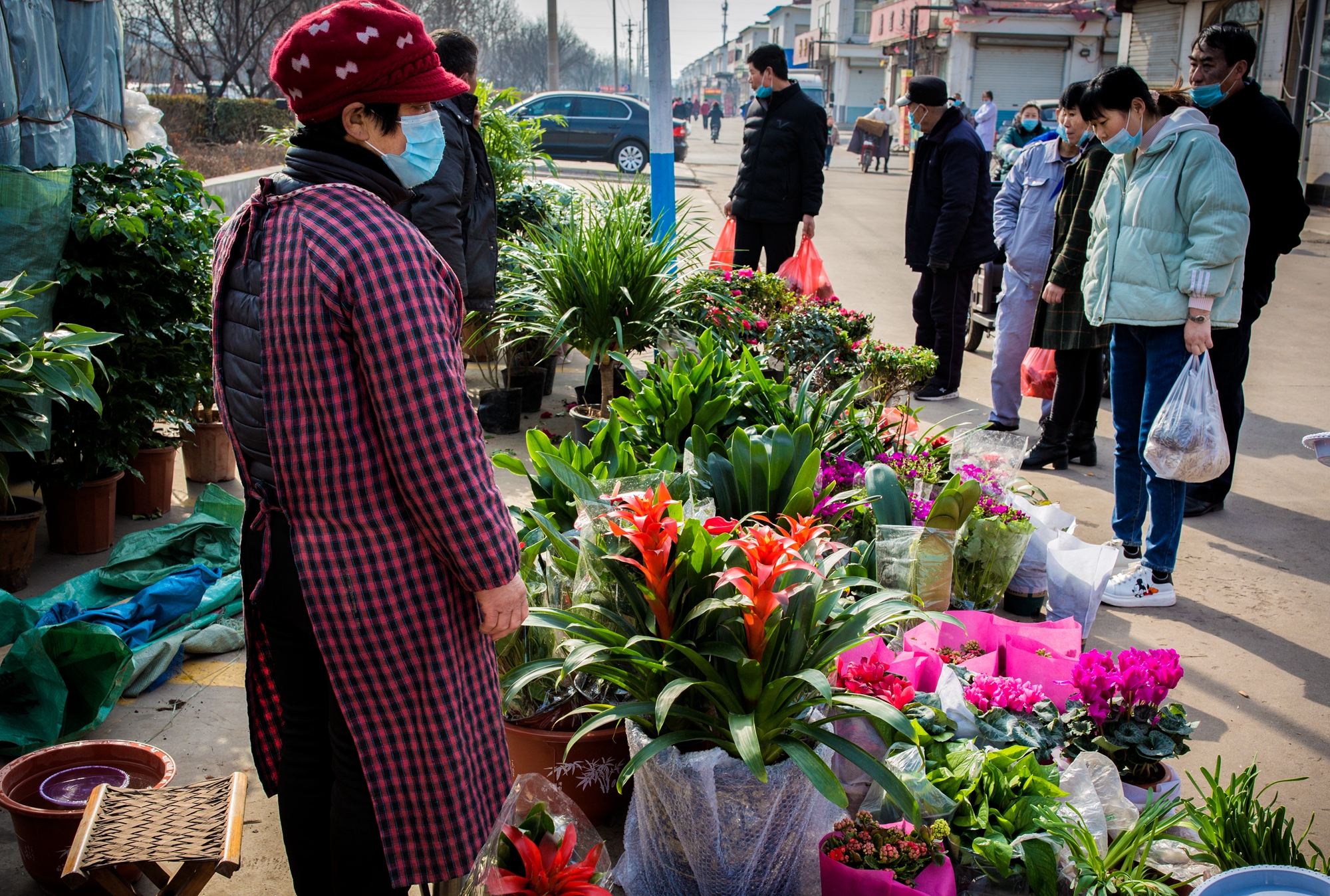 Shandong Zou is smooth: Year of part that takes you to see year of flavour on rustic large part appreciate north is what kind of