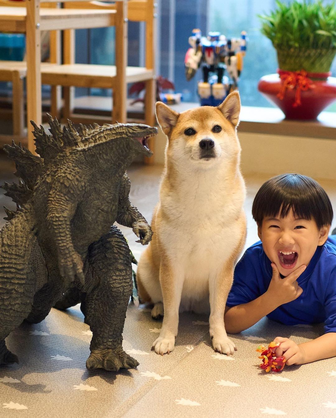 Ella與臉圓兒子看電視狗狗搶鏡，豪宅窗外景觀像城中村接地氣