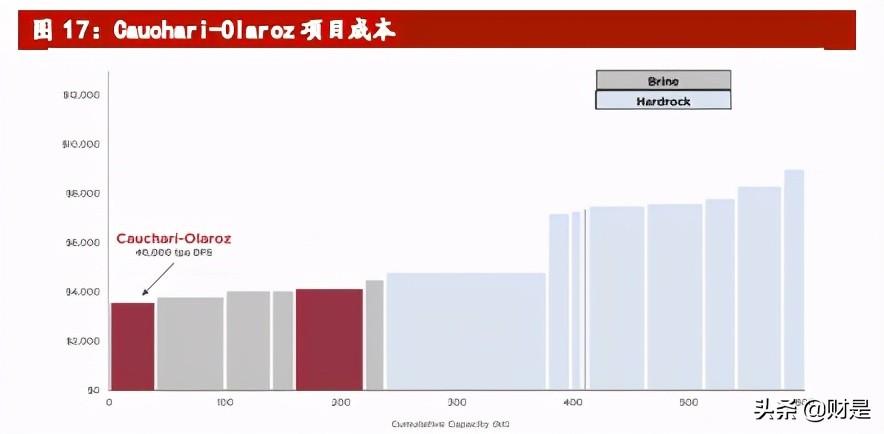 赣锋锂业深度解析：锂业龙头，受益行业大周期