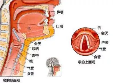 头被砍掉的一瞬间，是头觉得肉身掉了，还是身体觉得头断了？