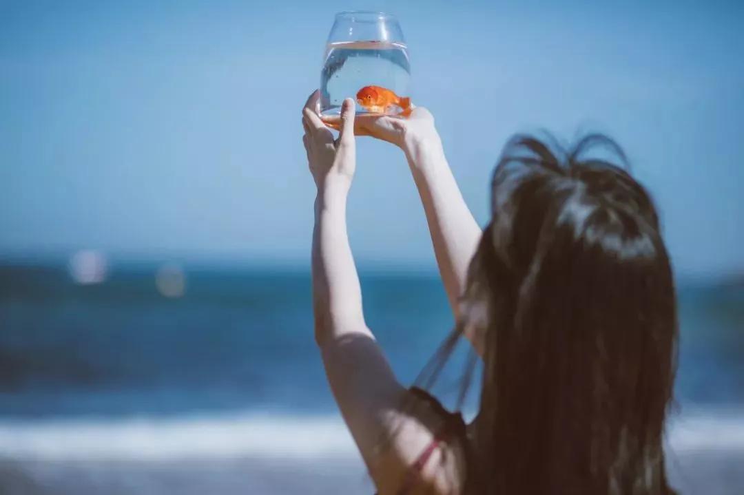 如果总觉得快乐不起来，就读读这些治愈系的文案吧