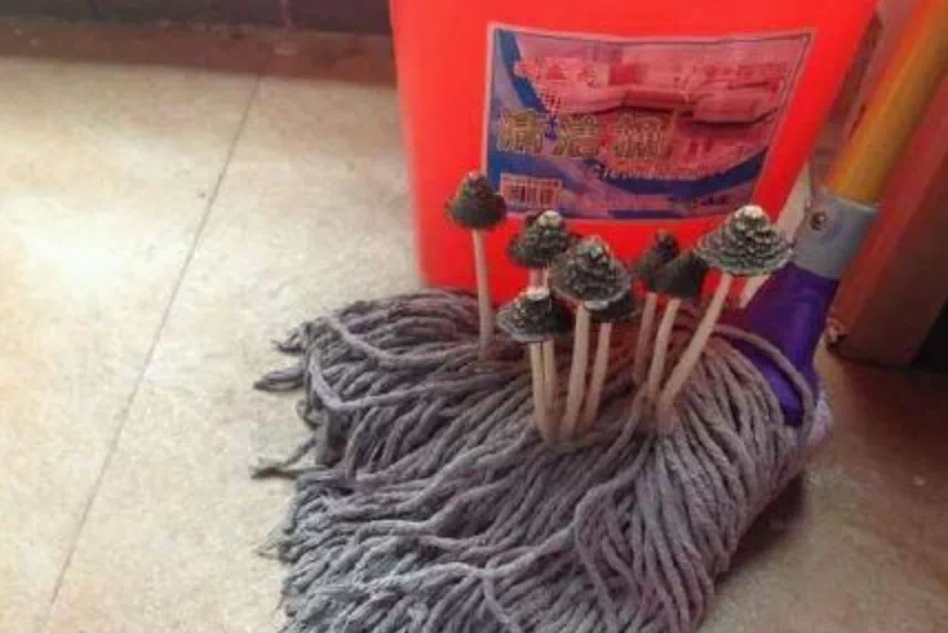 这个时候|为什么每年的这个时候就会是梅雨季节？南方的梅雨天啥时候能走？