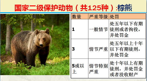 国家最新125类二级野生保护名录，图片及违法对应刑责