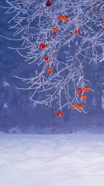 冬日有情还可爱，最美的冬日古诗词-第7张图片-诗句网
