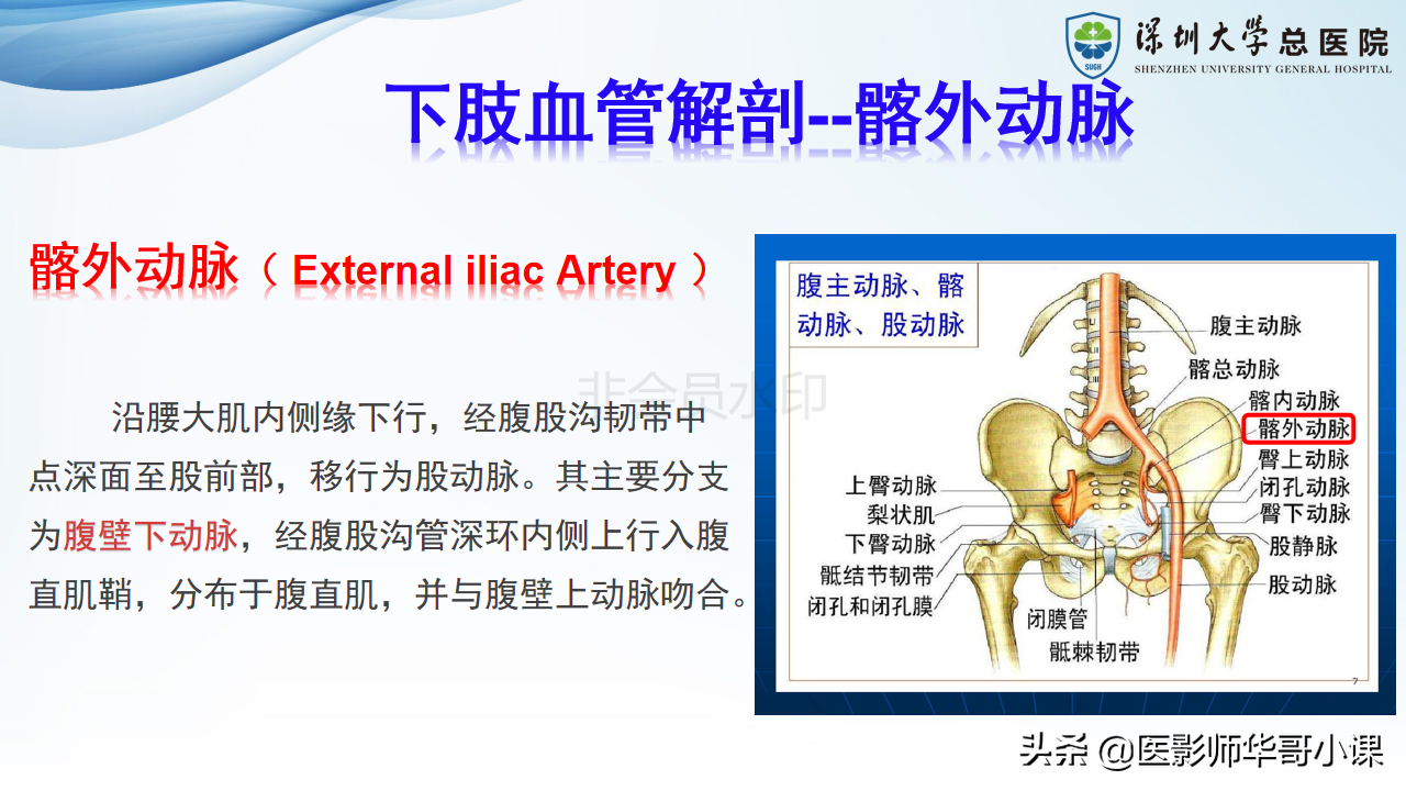 磁共振非增强双下肢血管MRA