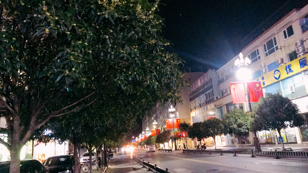 成都那些天错过的桂花雨，新都这些天全都还给你，满城尽带桂花香
