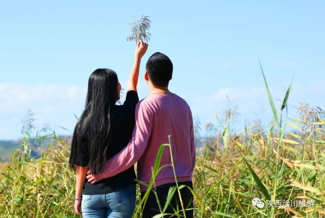 迎中秋慶國慶 遇見洽川遇見美