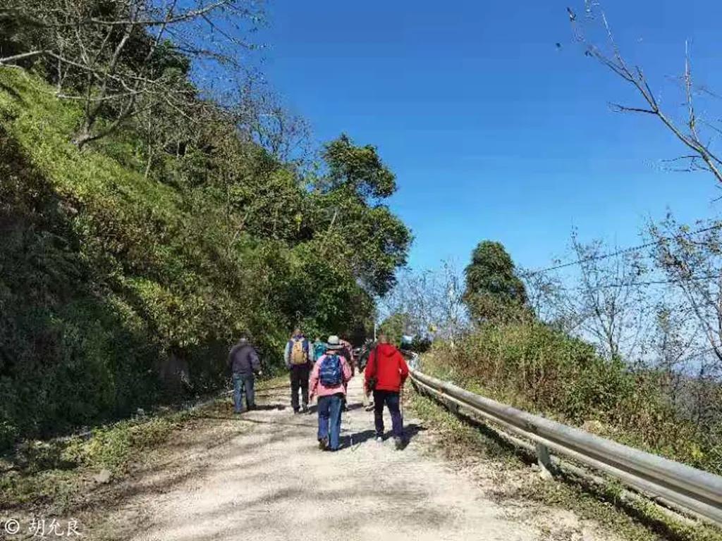 Angela的腾冲直播2—咖啡庄园、百花岭、北海湿地、银杏村