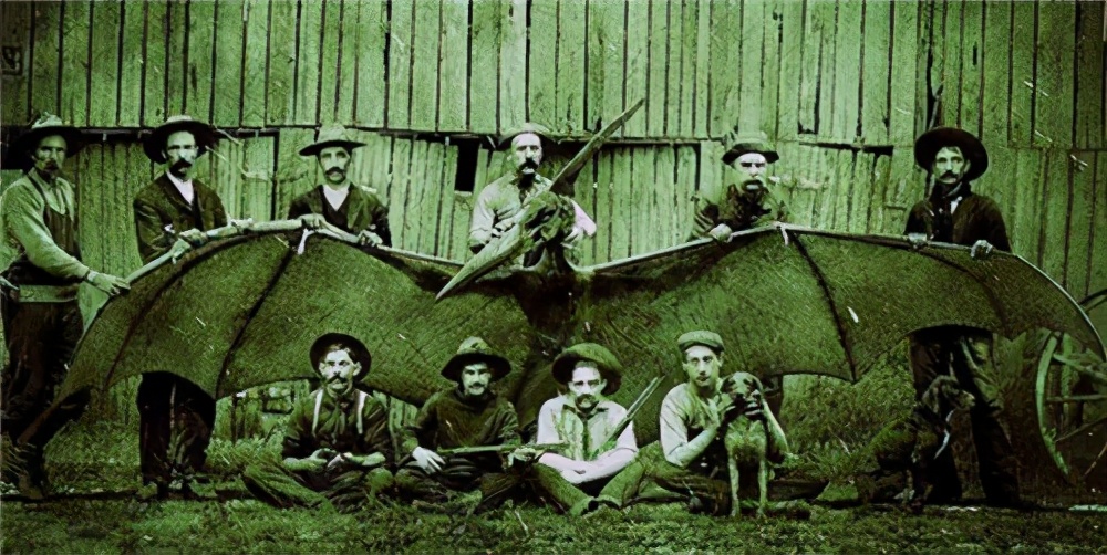 1864年美国士兵抓到一只翼龙，并留下合影，究竟是真是假？