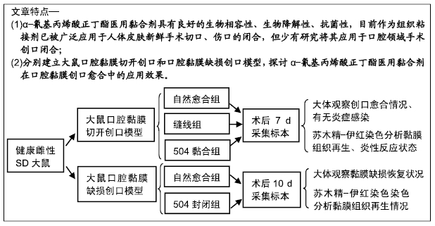 氰基丙烯酸正丁酯怎么用（氰基丙烯酸正丁酯医用粘合剂百科分享）