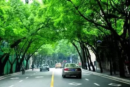 重庆旅游攻略重庆深度旅游攻略,在重庆要这么