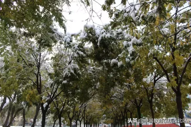 甘肃初雪|甘肃18所高校初学雪景大PK,快来看看有你的母校没?