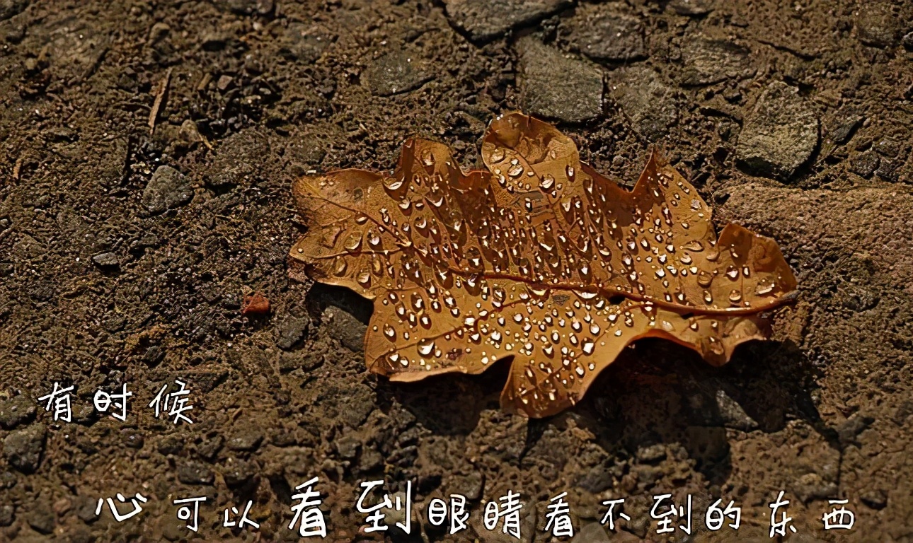 一段很现实的话适合发朋友圈 突然间看透一切的说说图片