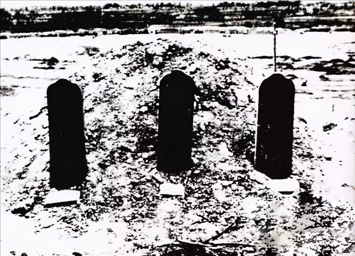 1949年，毛泽民遗骨在新疆乱坟岗被找到，公安巧施妙计让凶手伏法