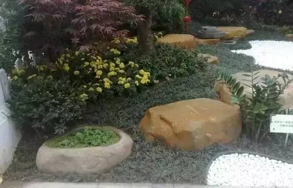 讲究！庭院石头摆放风水