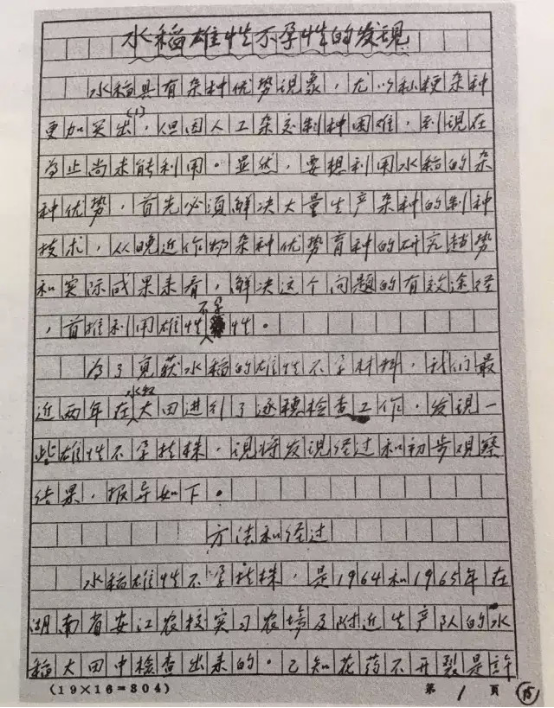 91岁袁隆平去世，5分钟回顾“杂交水稻之父”的一生-第14张图片-大千世界