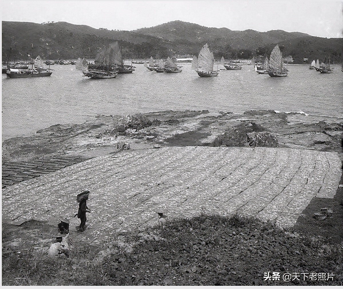 1932年惠州老照片 90年前的淡水澳头坪山