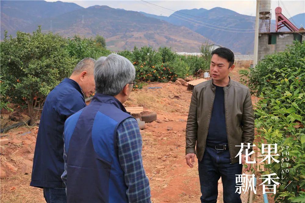 一位浙江老板的农业投资理念：如果挣不到钱，都是白搭