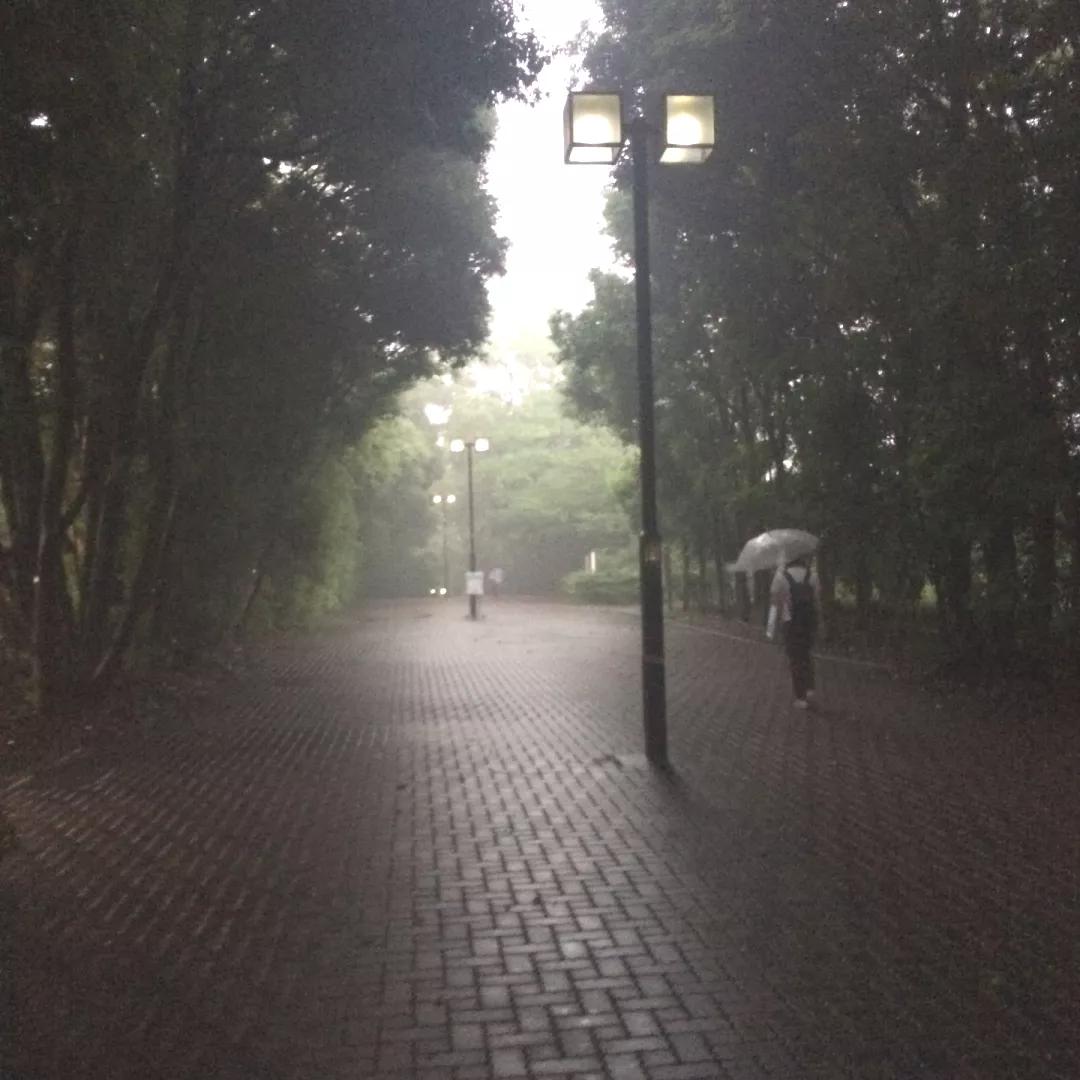 横滨国立大学：我们在山上认真地搞学术