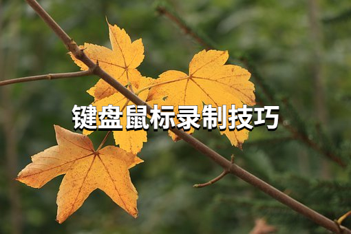 怎么简单、清晰地把键盘鼠标给录制下来？