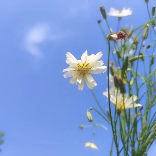 古風男生網名，取自詩詞，歡迎收藏