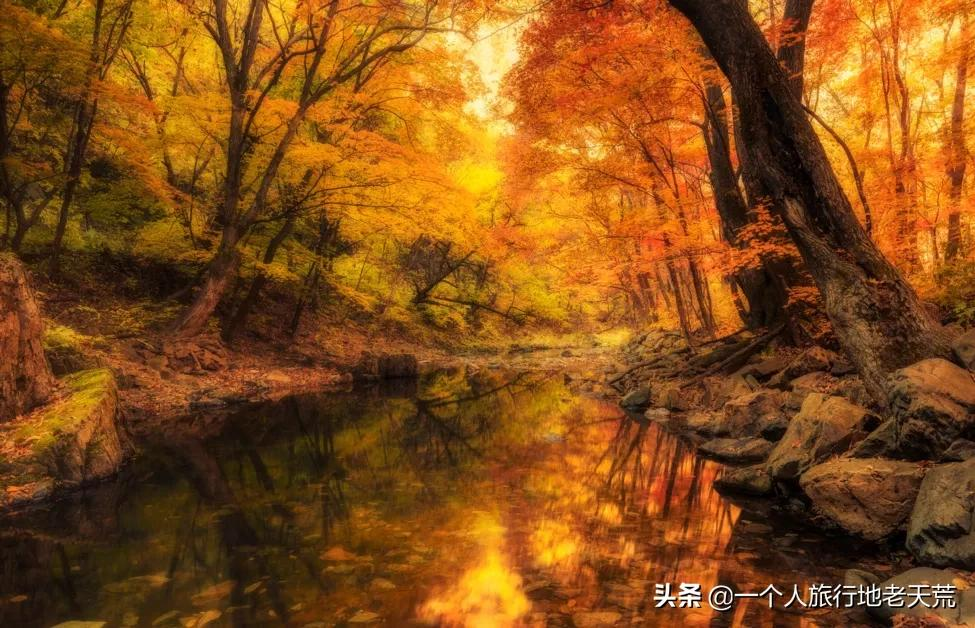 国庆还能去旅游吗？这16个宝藏地考虑一下