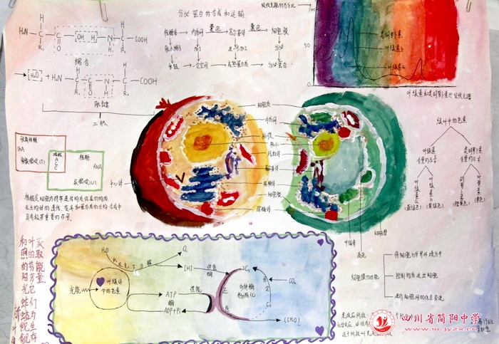 四川省简阳中学怎么样?首届生物学科节(图42)