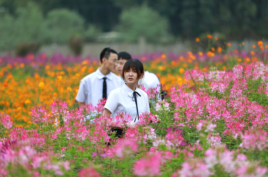 嗨玩十一|西九華山賞七彩花海、聽音樂(lè)、拍抖音，贏萬(wàn)元大獎(jiǎng)！