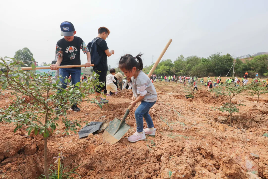 奥运冠军携网友一起植树！第三届网友植树节在盈香顺利举行