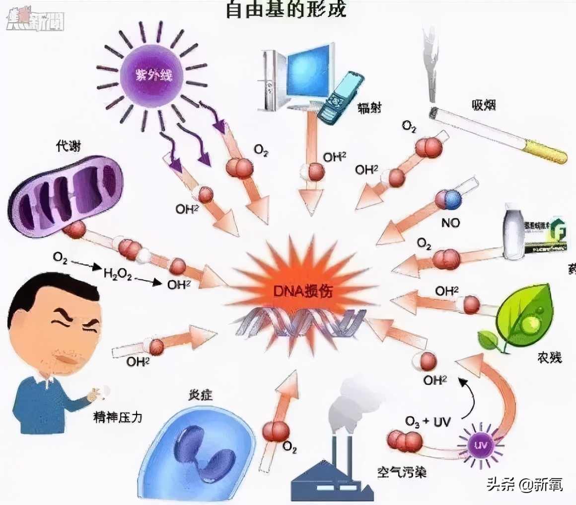 女明星们的好皮肤，当真是得益于戒糖吗？