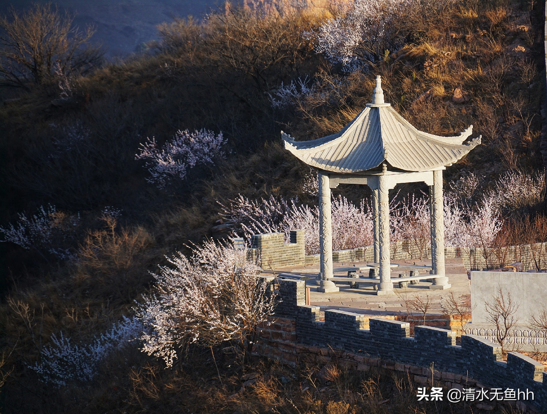 九龙峡，谁把桃花移画中