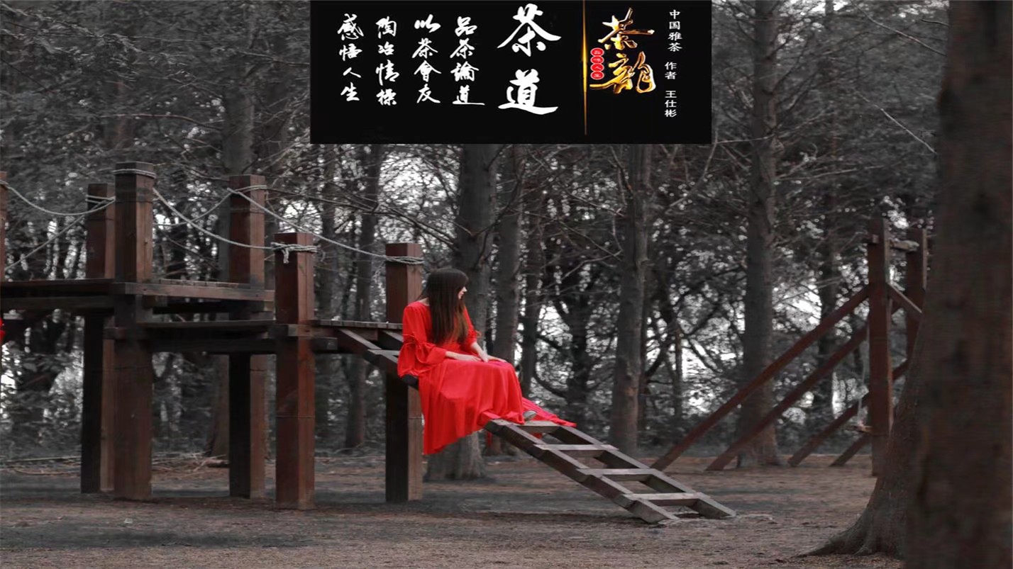 一壶雅茶观浮沉人生，一颗静心看清凉世界