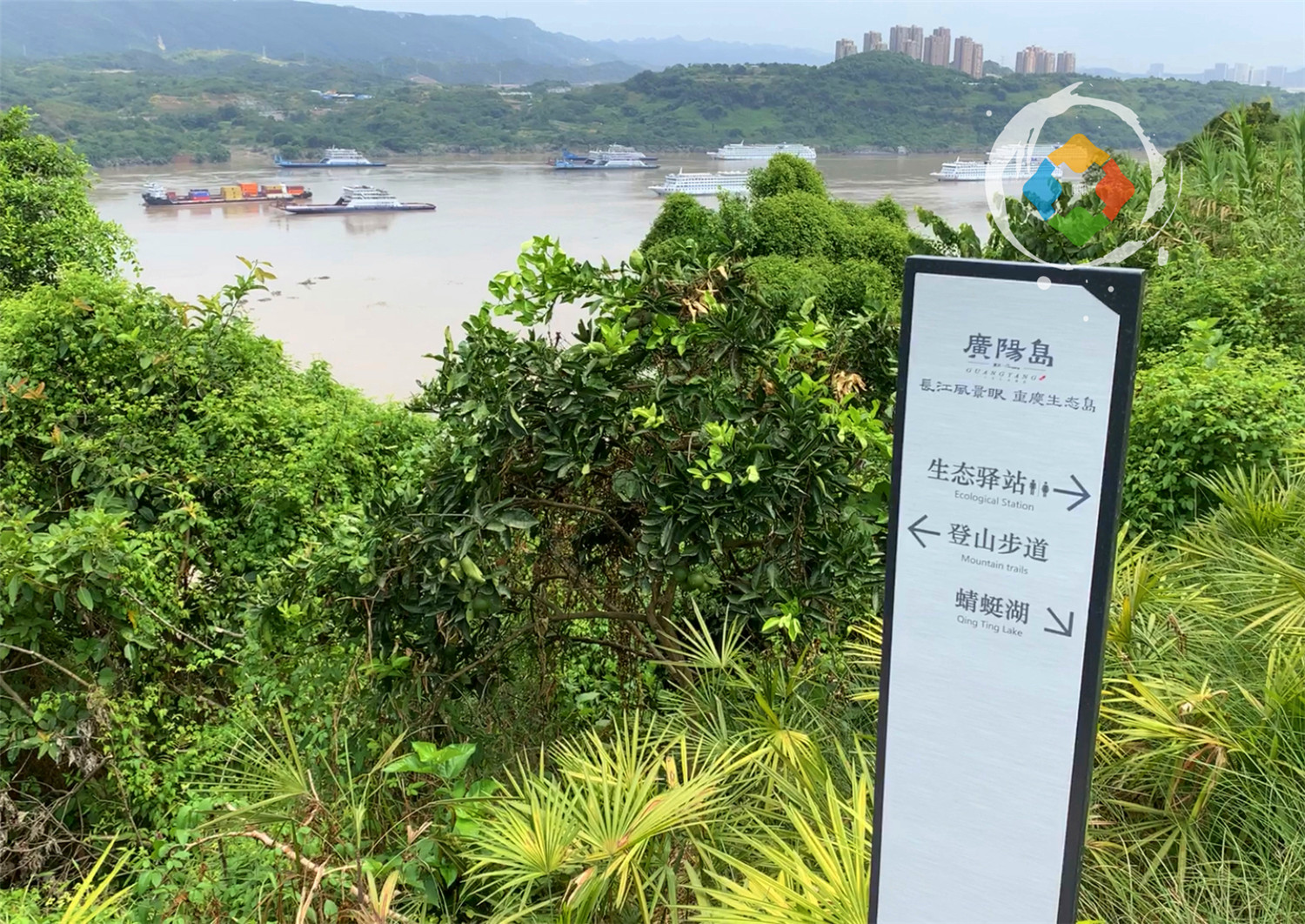 重庆广阳岛游玩攻略：一天逛完4大景点，美不胜收，拍照超好看