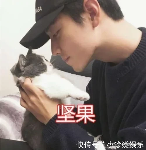 明星的宠物名：宋茜和朱正廷还好，鞠婧祎的笑翻网友