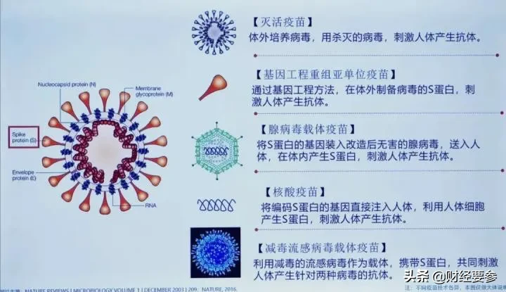 重大突破！今天，新冠最大克星终于来了